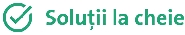 Soluții la cheie