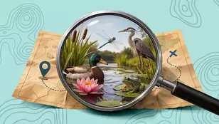 Veolia România celebrated the winners of “Olimpiada Natura dintre Ape”, the biodiversity competition’s first nationwide edition.